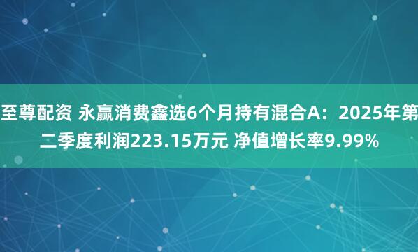 至尊配资 永赢消费鑫选6个月持有混合A：2025年第二季度利润223.15万元 净值增长率9.99%
