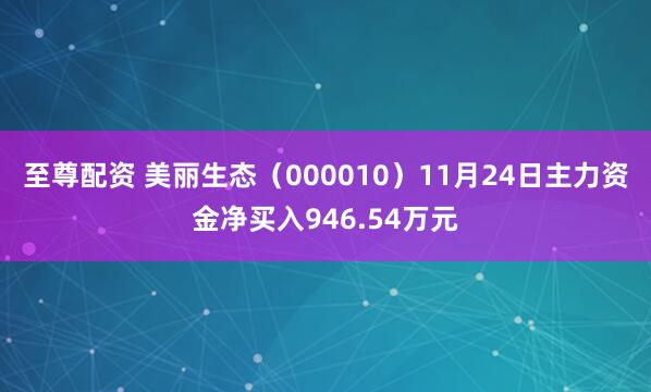 至尊配资 美丽生态（000010）11月24日主力资金净买入946.54万元
